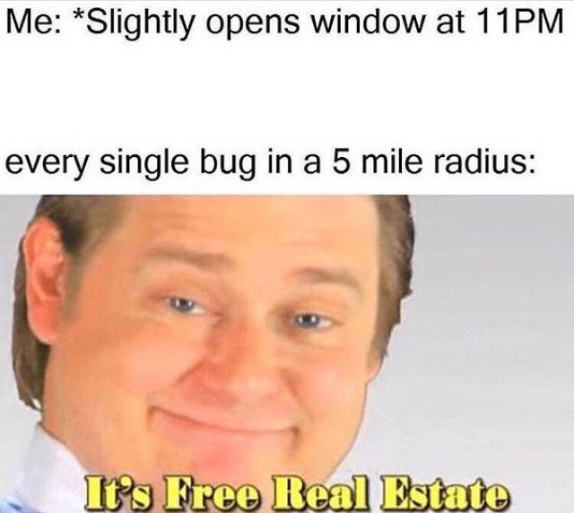 Daily Pictures. Part 2 (69 pics)