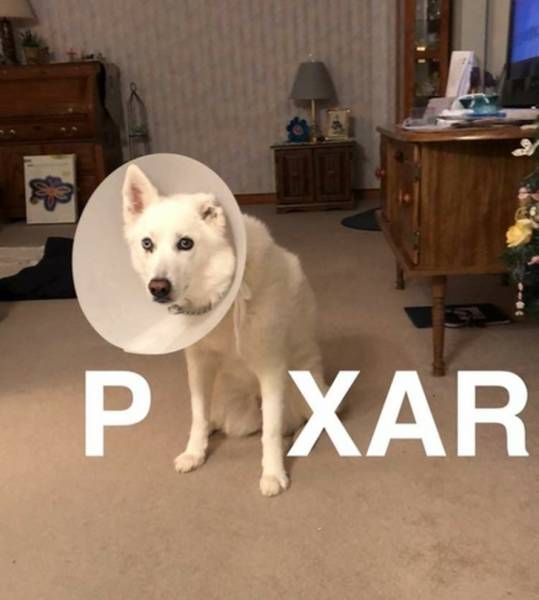 Daily Pictures. Part 2 (69 pics)