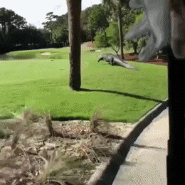 Acid GIFs, December 12 (25 gifs)