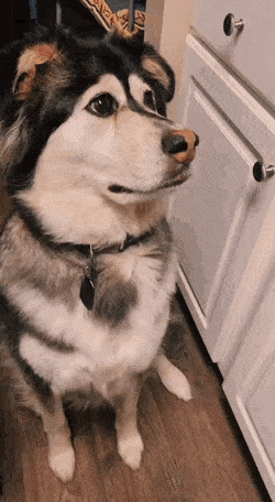 Acid GIFs, December 12 (25 gifs)