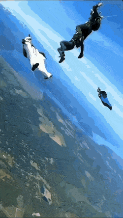 Acid GIFs, December 12 (25 gifs)