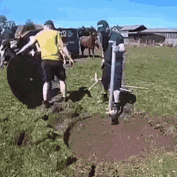 Acid GIFs, December 12 (25 gifs)