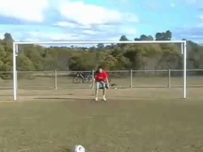 Acid GIFs, December 12 (25 gifs)