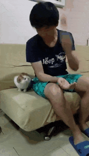 Acid GIFs, December 12 (25 gifs)