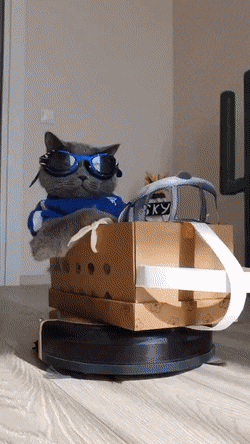 Acid GIFs, December 12 (25 gifs)