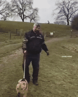 Acid GIFs, December 12 (25 gifs)