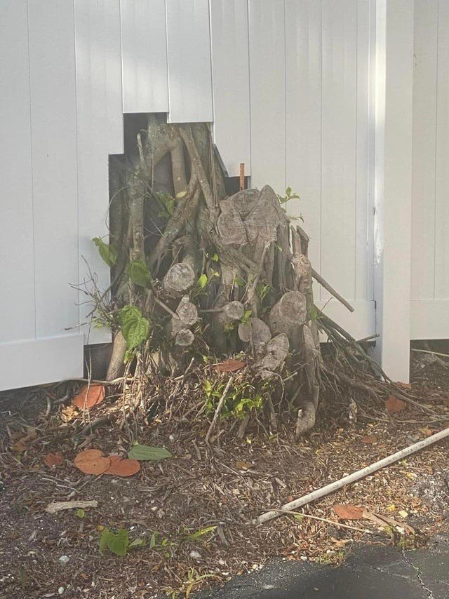 Epic Fails (19 pics)