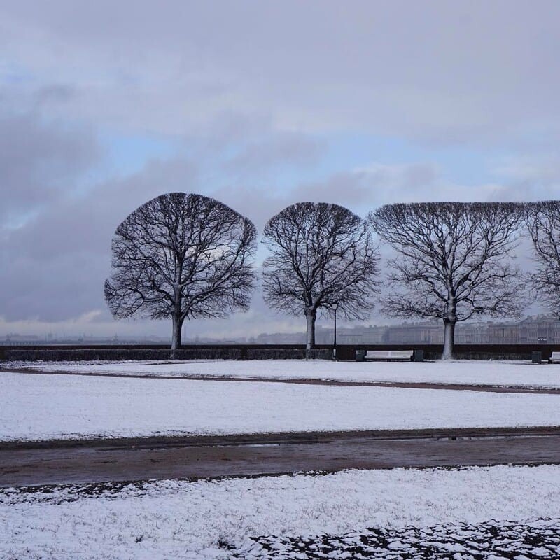 Hell For Perfectionists (25 pics)