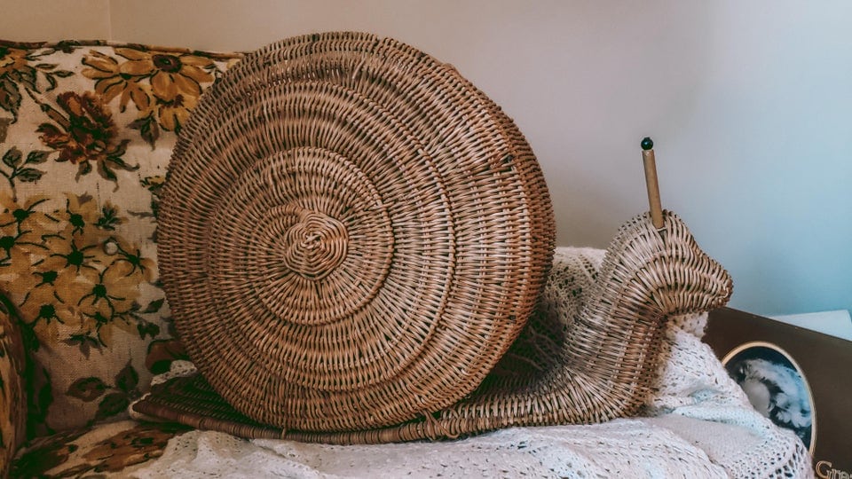 Unusual Finds In Thrift Shops (18 pics)