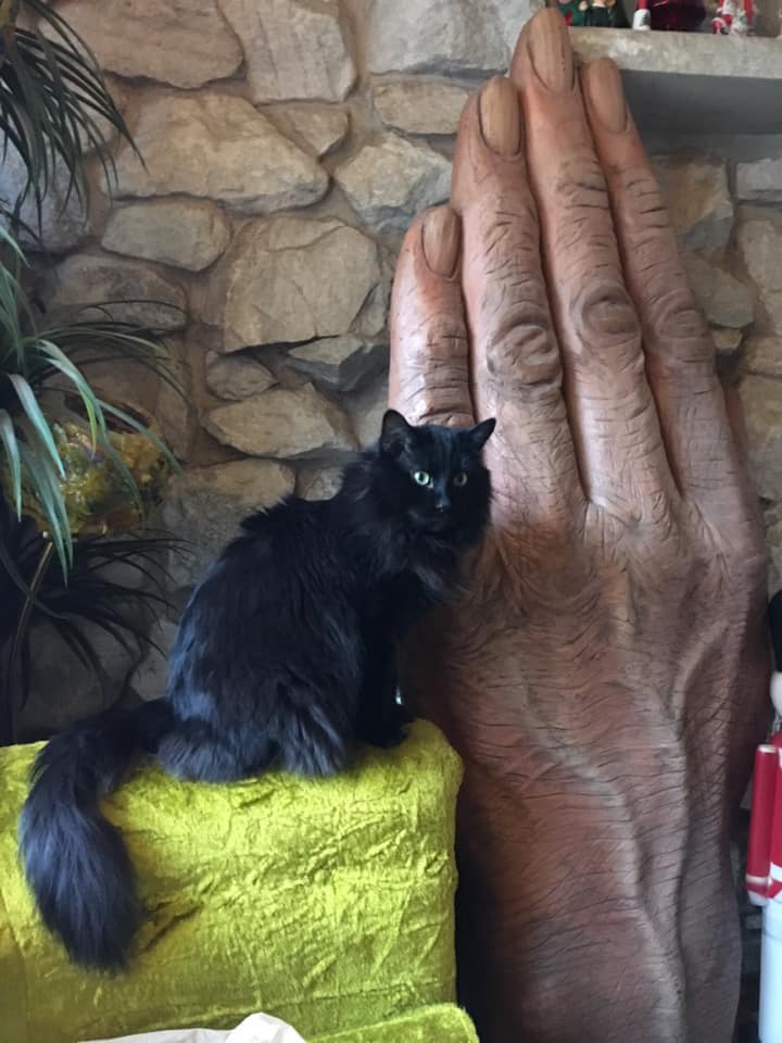 Unusual Finds In Thrift Shops (18 pics)