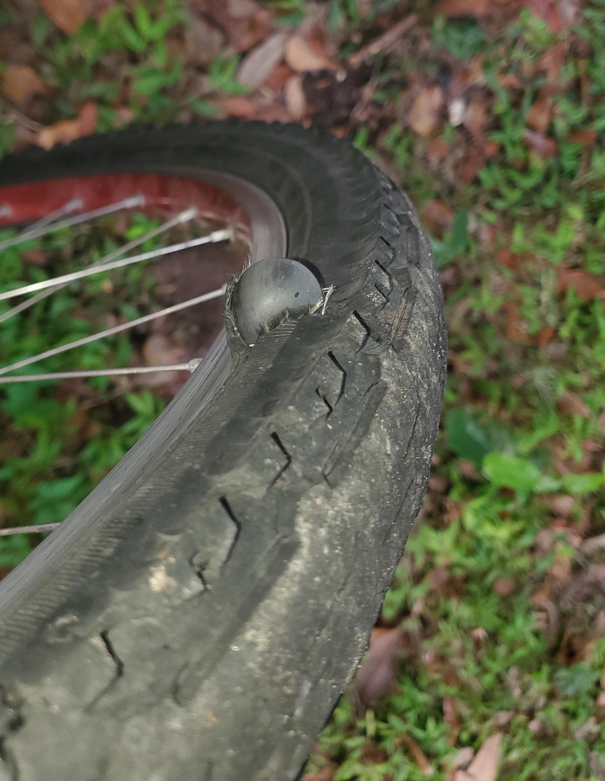 Bad Days Happen (25 pics)