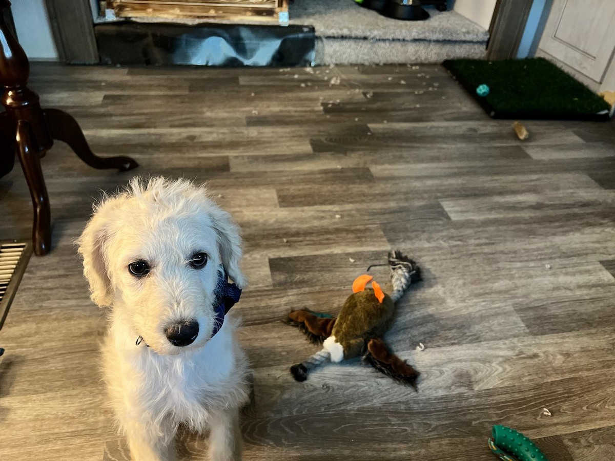 Bad Days Happen (25 pics) Bad Days Happen (25 pics)