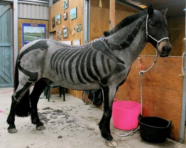 Strange DIY Crafts (17 pics)