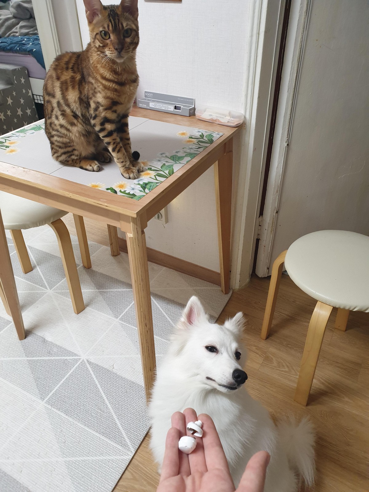 Unfortunate Situations (25 pics) Unfortunate Situations (25 pics)