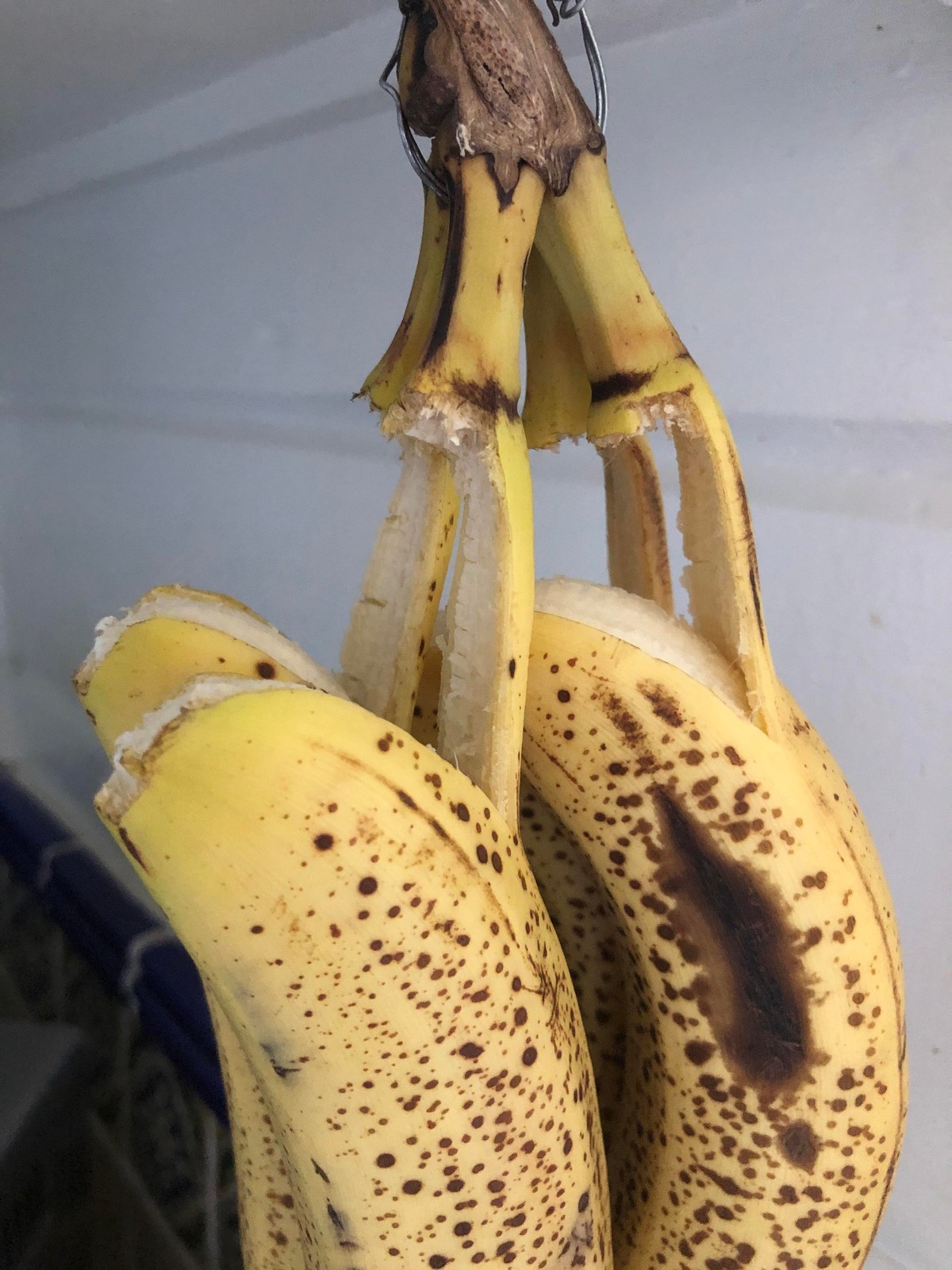 Unfortunate Situations (25 pics) Unfortunate Situations (25 pics)