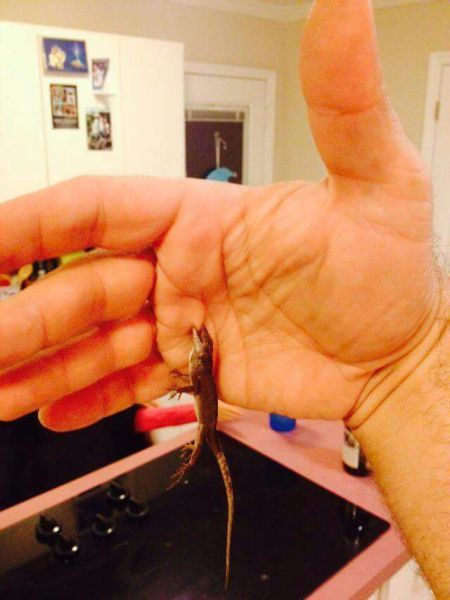 Daily Pictures. Part 1 (70 pics) Daily Pictures. Part 1 (70 pics)