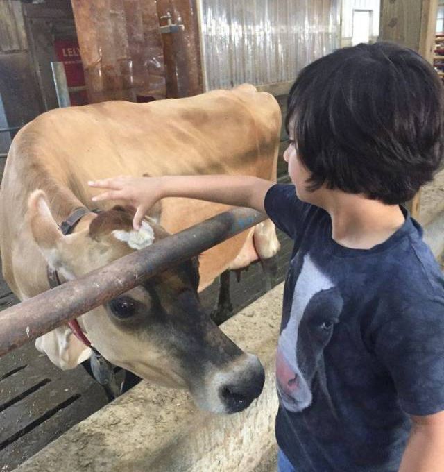 Daily Pictures. Part 1 (70 pics) Daily Pictures. Part 1 (70 pics)