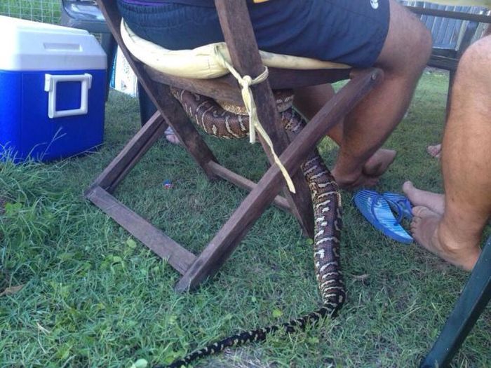 Daily Pictures. Part 1 (70 pics) Daily Pictures. Part 1 (70 pics)