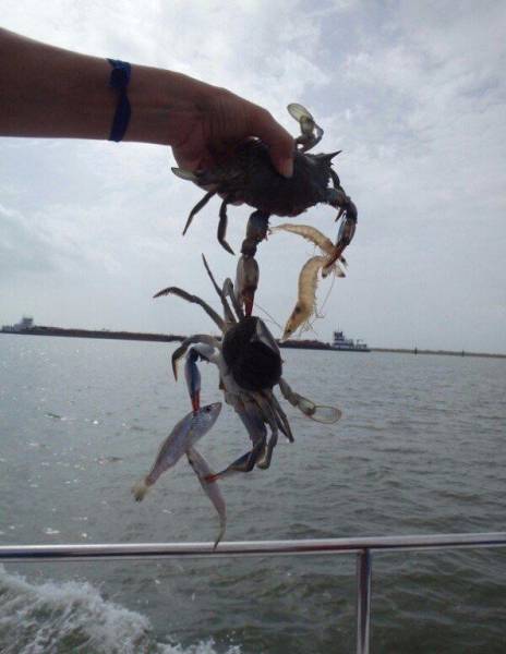 Daily Pictures. Part 1 (70 pics) Daily Pictures. Part 1 (70 pics)