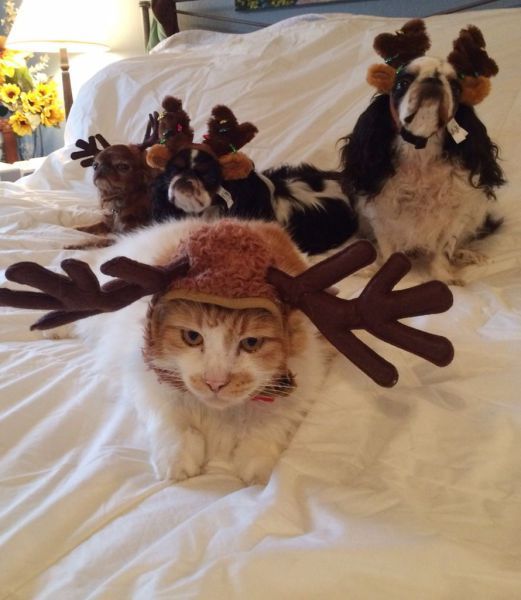 Daily Pictures. Part 1 (70 pics) Daily Pictures. Part 1 (70 pics)