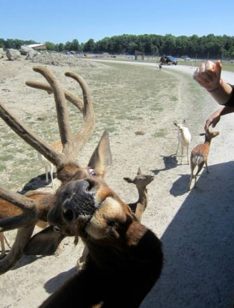 Daily Pictures. Part 1 (70 pics) Daily Pictures. Part 1 (70 pics)