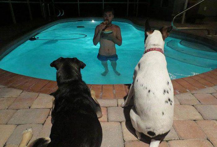 Daily Pictures. Part 1 (70 pics) Daily Pictures. Part 1 (70 pics)