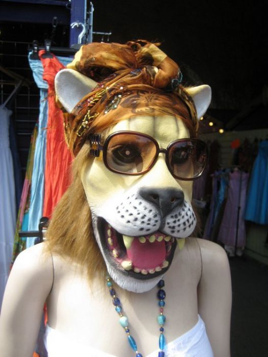 Daily Pictures. Part 1 (70 pics) Daily Pictures. Part 1 (70 pics)