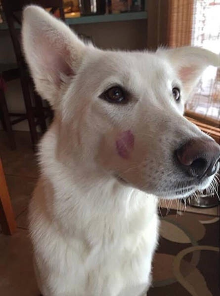 Daily Pictures. Part 2 (69 pics) Daily Pictures. Part 2 (69 pics)