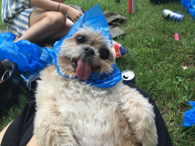 Daily Pictures. Part 2 (69 pics) Daily Pictures. Part 2 (69 pics)