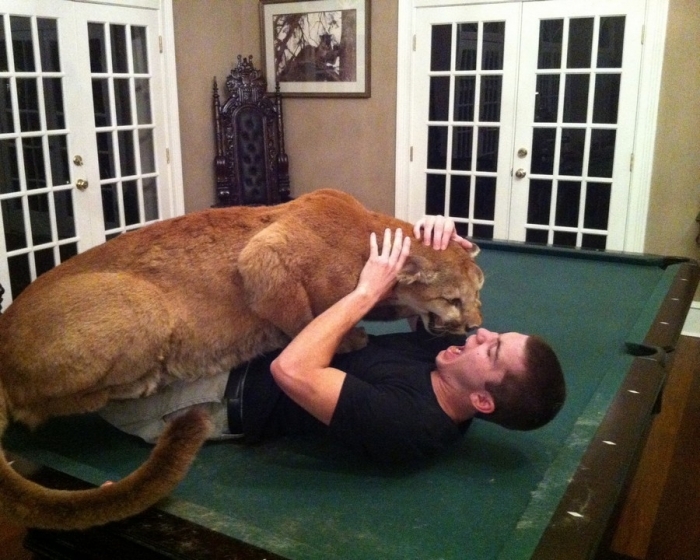 Daily Pictures. Part 1 (70 pics) Daily Pictures. Part 1 (70 pics)