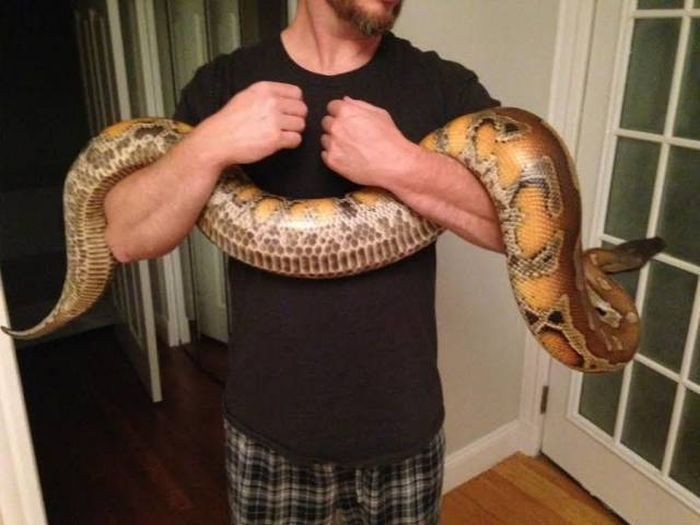 Daily Pictures. Part 1 (70 pics) Daily Pictures. Part 1 (70 pics)