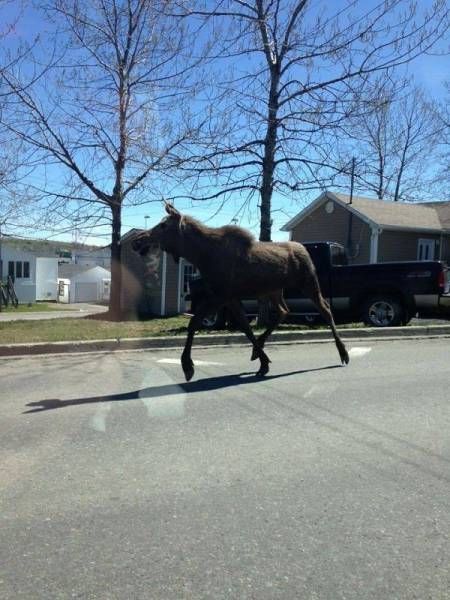 Daily Pictures. Part 1 (70 pics) Daily Pictures. Part 1 (70 pics)