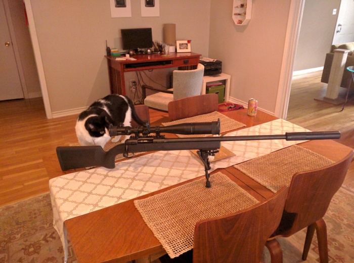 Daily Pictures. Part 2 (69 pics) Daily Pictures. Part 2 (69 pics)