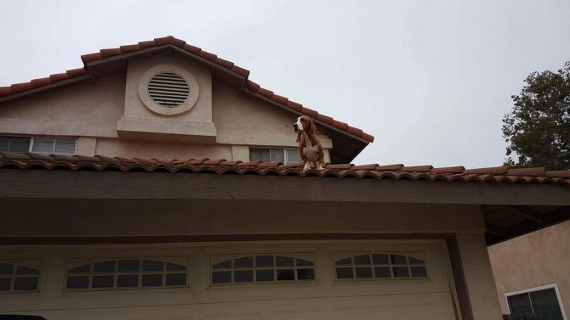 Daily Pictures. Part 2 (69 pics) Daily Pictures. Part 2 (69 pics)