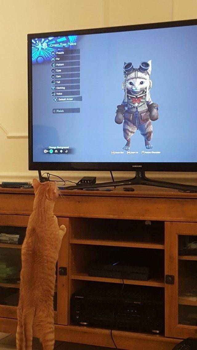 Daily Pictures. Part 2 (69 pics) Daily Pictures. Part 2 (69 pics)