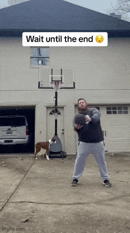 Acid GIFs, December 15 (25 gifs)