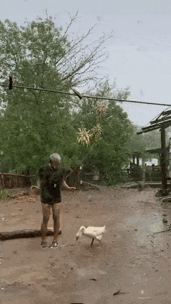 Acid GIFs, December 15 (25 gifs)