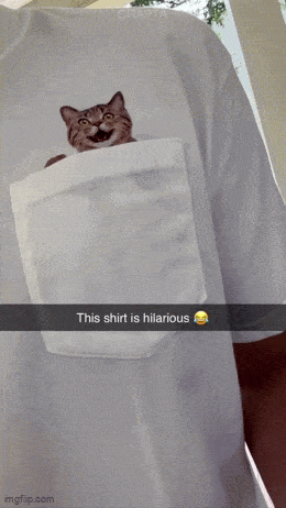 Acid GIFs, December 15 (25 gifs)