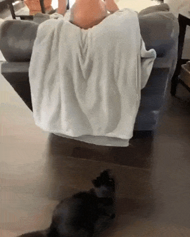 Acid GIFs, December 15 (25 gifs)