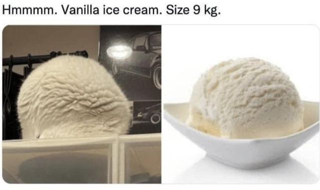 Memes And Photos With Cats (38 pics)