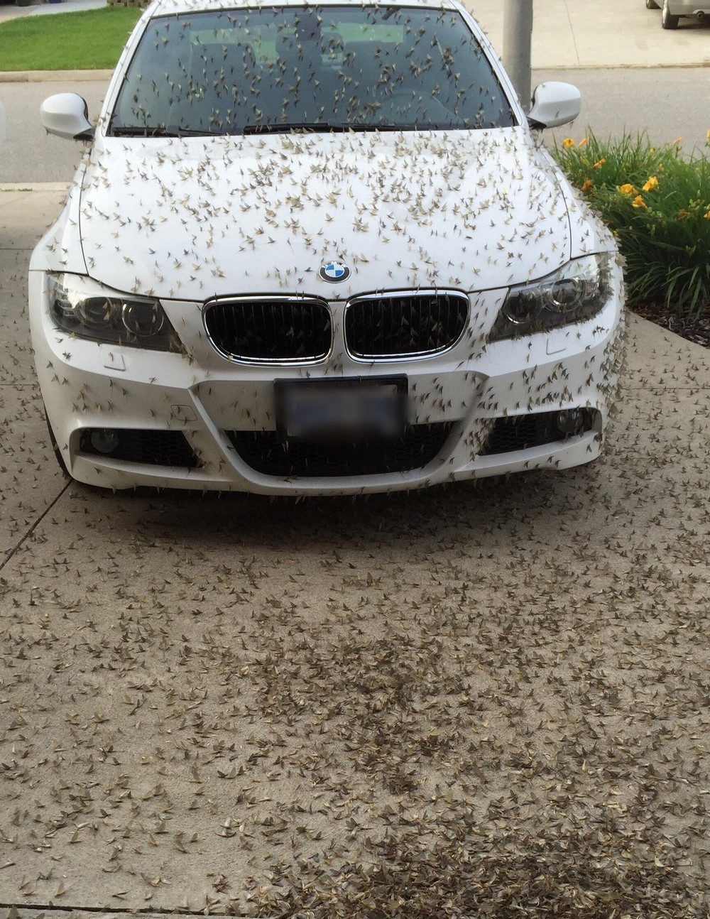 Bad Days Happen (27 pics)