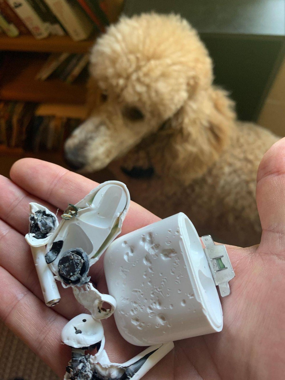 Bad Days Happen (27 pics)