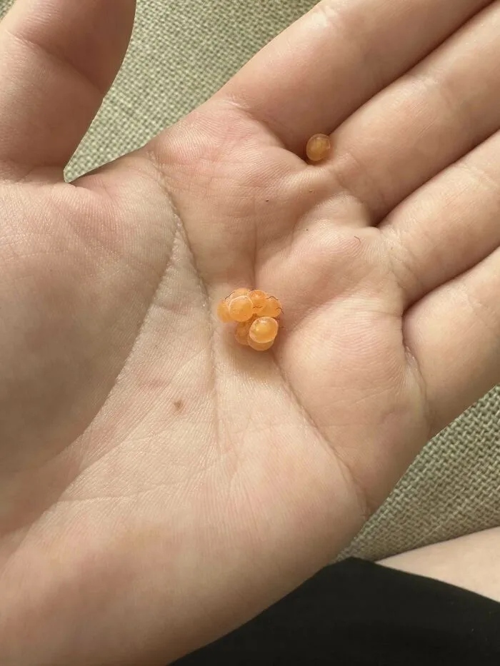 Unsuccessful Harvest (25 pics) Unsuccessful Harvest (25 pics)