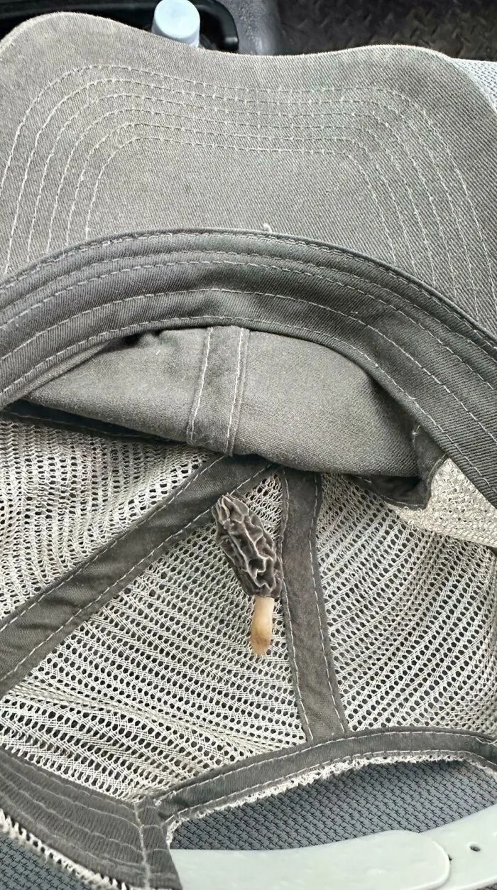 Unsuccessful Harvest (25 pics) Unsuccessful Harvest (25 pics)