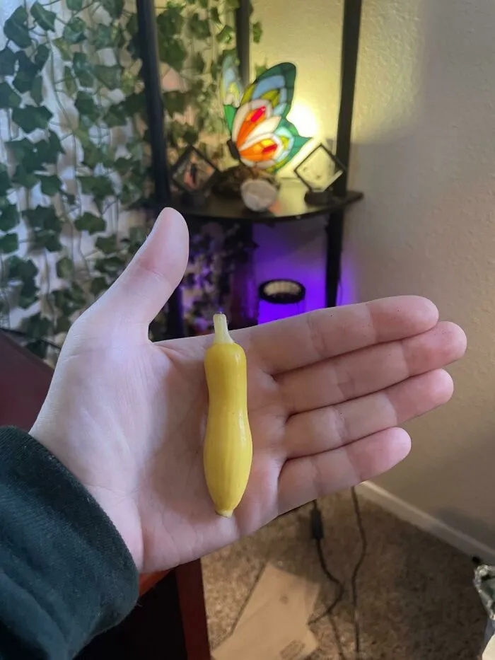 Unsuccessful Harvest (25 pics) Unsuccessful Harvest (25 pics)