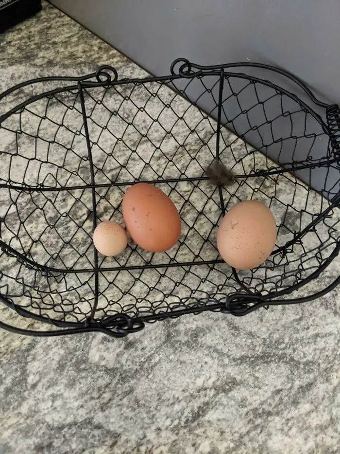 Unsuccessful Harvest (25 pics) Unsuccessful Harvest (25 pics)