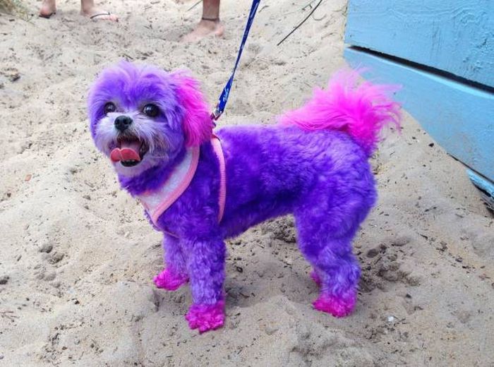 Daily Pictures. Part 1 (64 pics) Daily Pictures. Part 1 (64 pics)