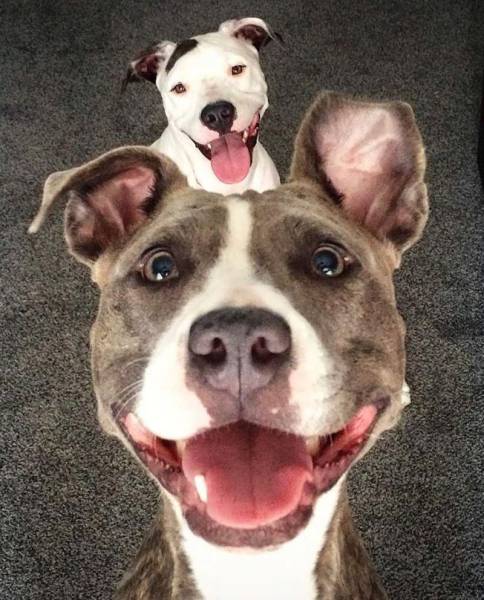 Daily Pictures. Part 1 (64 pics) Daily Pictures. Part 1 (64 pics)