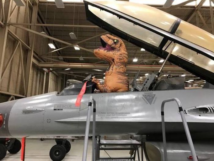 Daily Pictures. Part 1 (64 pics) Daily Pictures. Part 1 (64 pics)