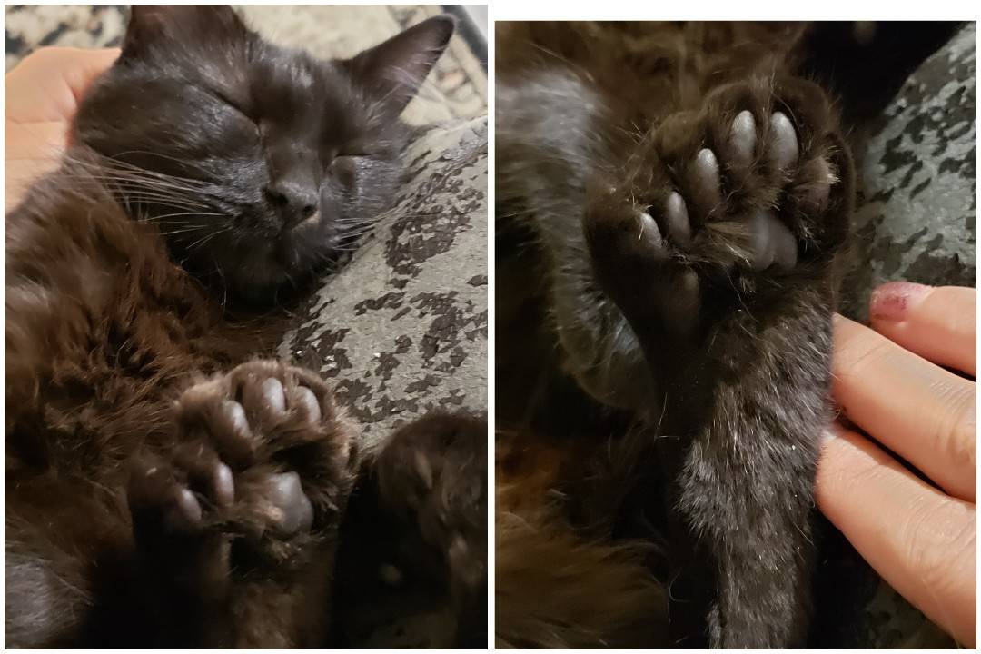 Daily Pictures. Part 1 (64 pics) Daily Pictures. Part 1 (64 pics)